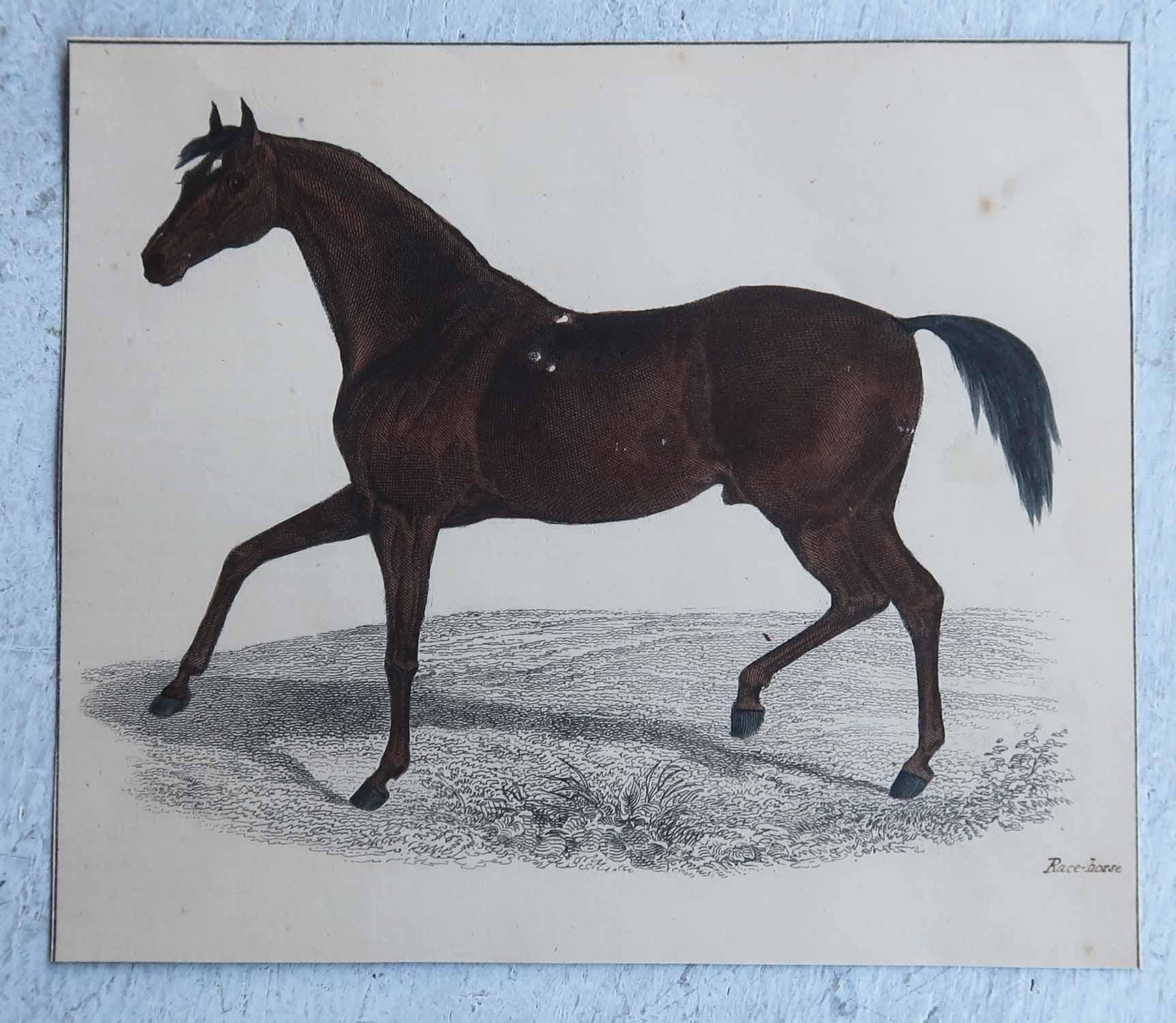 Artisanat Impression originale et ancienne d'un cheval de course, 1847, non encadrée en vente