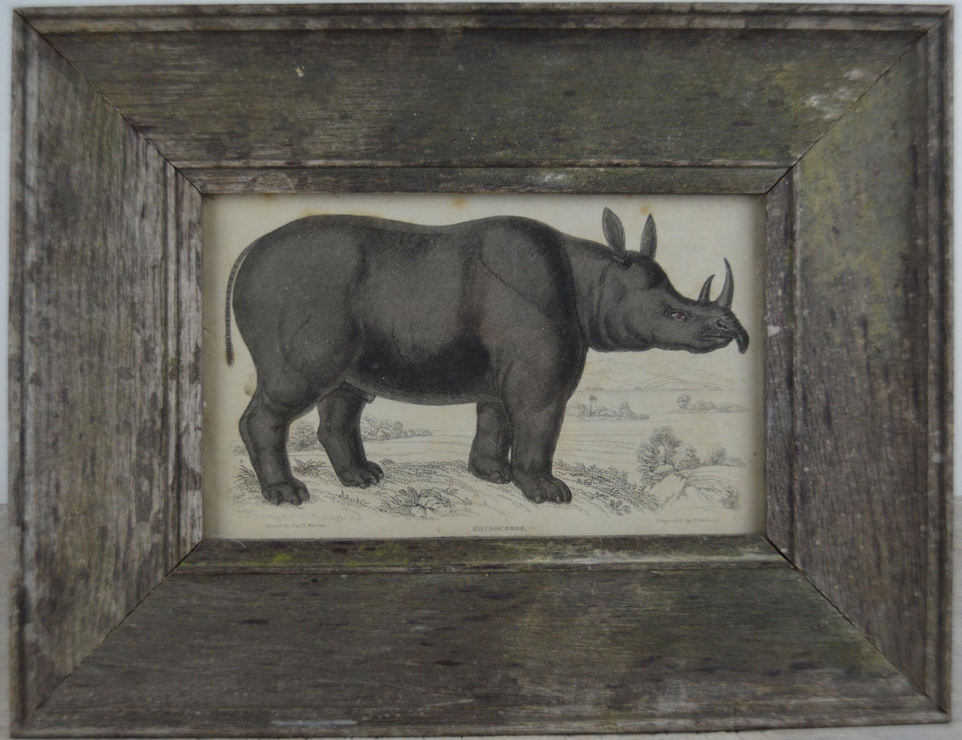 Great image of a rhino presented in an antique distressed oak frame.

Original hand colored lithograph after Cpt. brown.

Published by Smith, Elder, 1830s.

Free shipping.

 