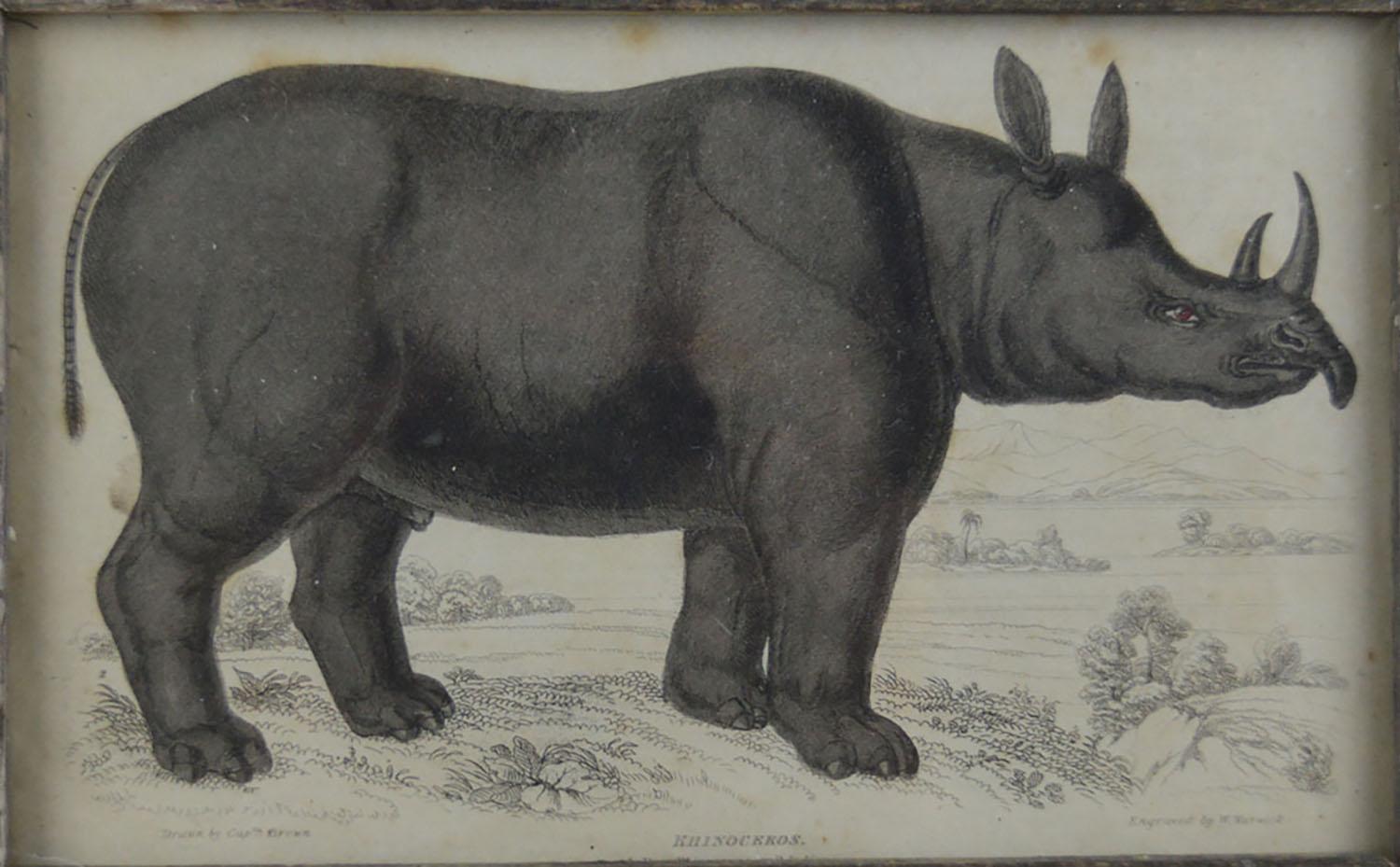 Folk Art Original Antique Print of a Rhinoceros, 1830s