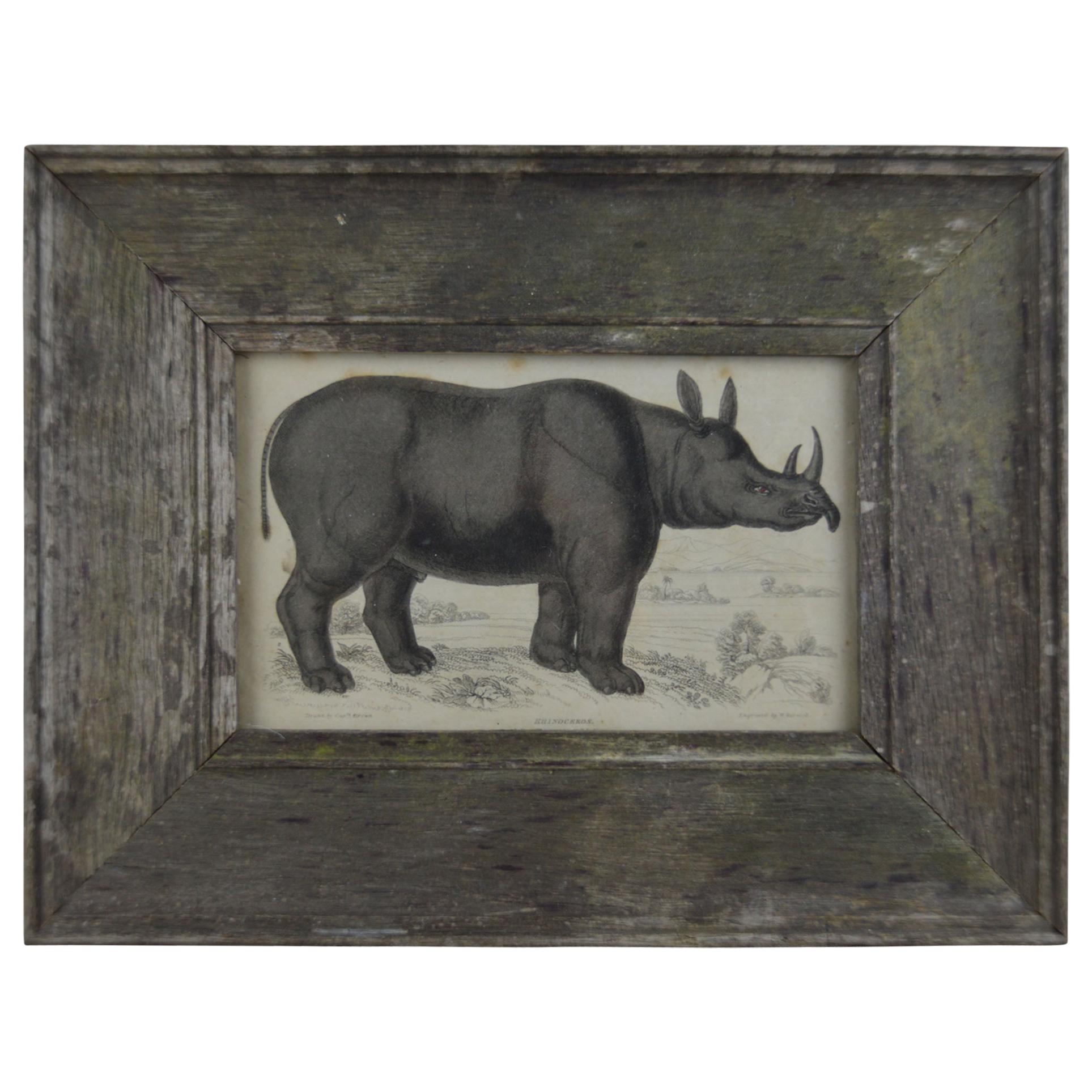 Original Antique Print of a Rhinoceros, 1830s