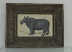 Original Antique Print of a Rhinoceros, 1837