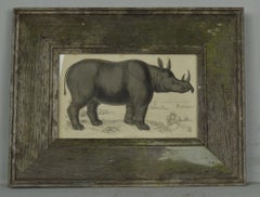 Original Antique Print of a Rhinoceros, 1837