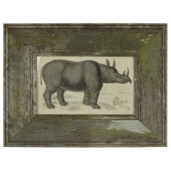 Original Antique Print of a Rhinoceros, 1837