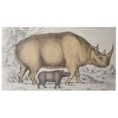 Original Antique Print of a Rhinoceros, 1847 
Unframed
