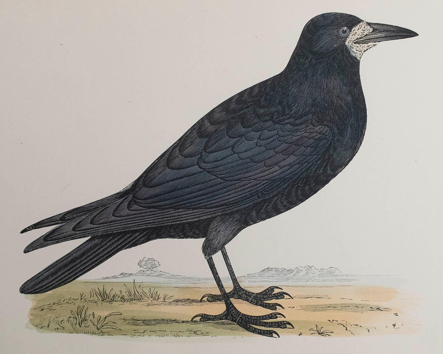 Belle image d'une tour

Non encadré. Il vous donne la possibilité de réaliser un montage en utilisant les cadres de votre choix.

Lithographie d'après Alexander Francis Lydon.

Couleur originale

Publié, vers 1880

La mesure correspond au format du
