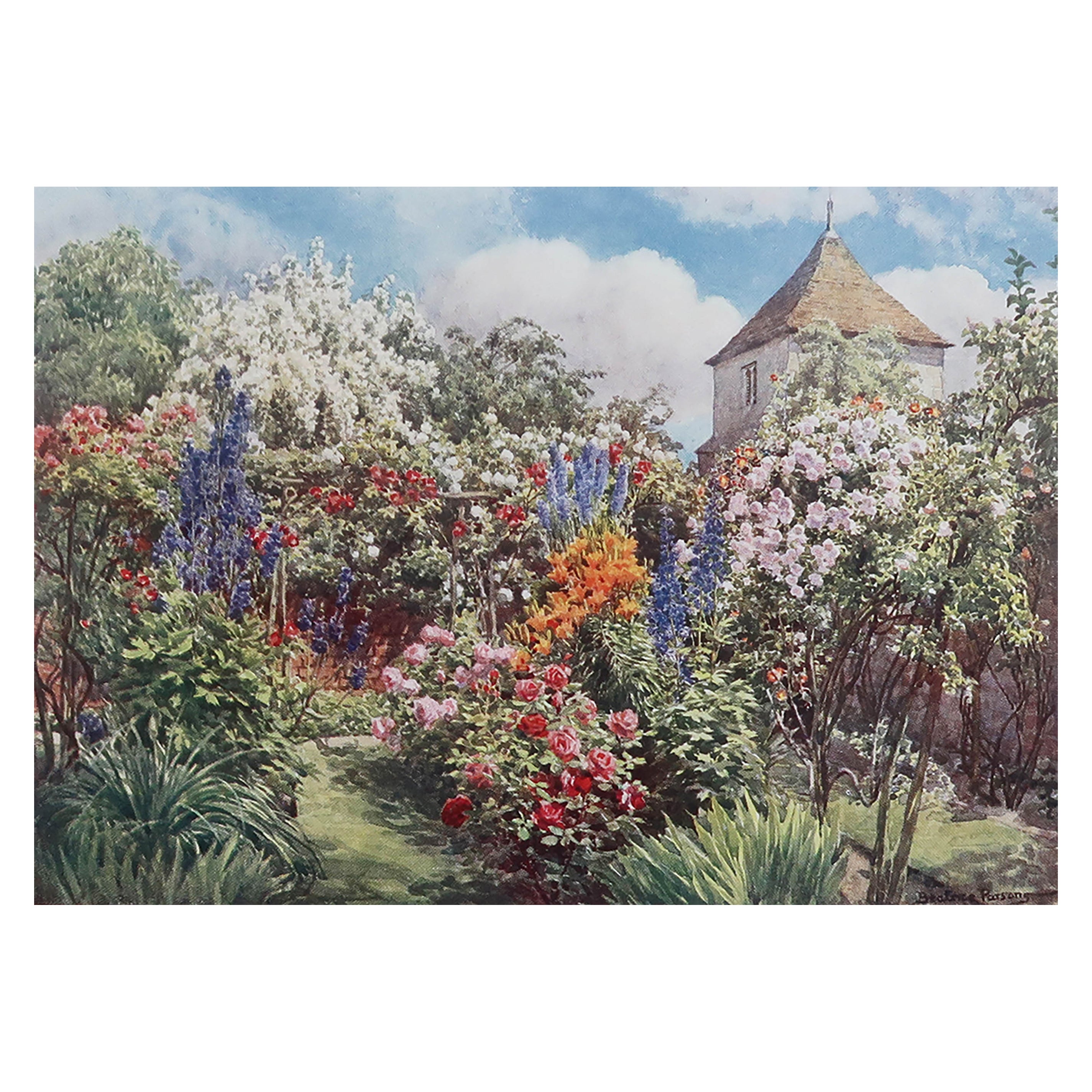Gravure ancienne originale d'un jardin de roses d'après Beatrice Parsons. C.1910 en vente