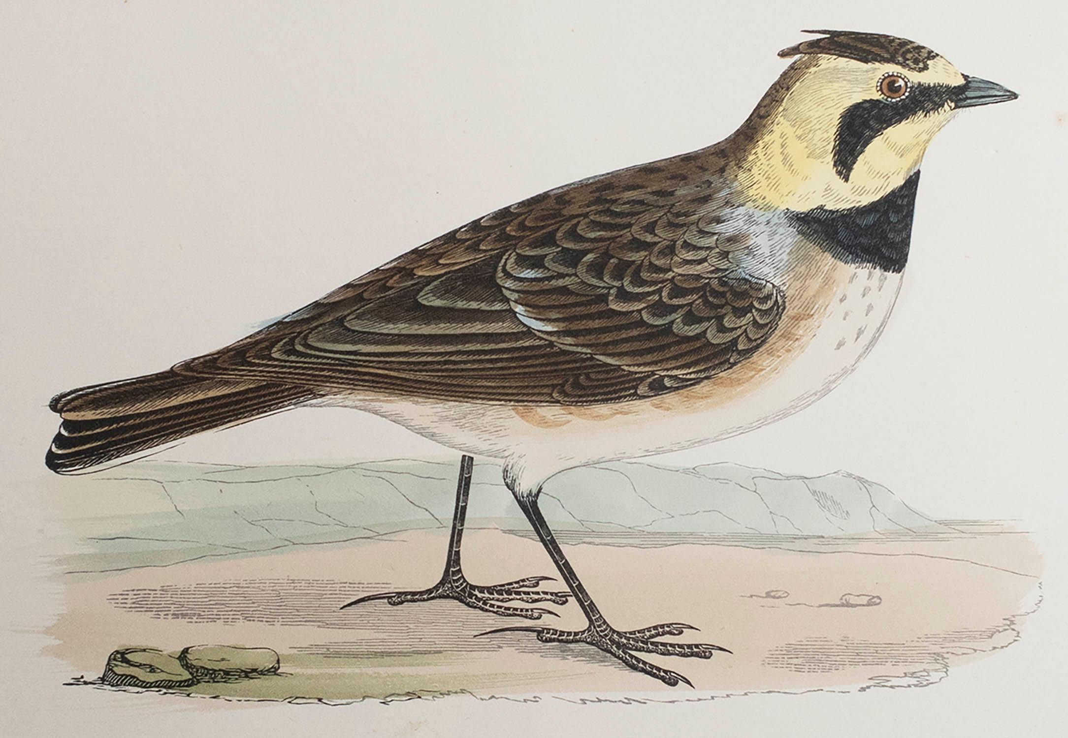 Tolles Bild einer Uferlerche

Ungerahmt. So haben Sie die Möglichkeit, Ihre eigene Auswahl an Rahmen zu treffen.

Lithographie nach Alexander Francis Lydon.

Original Farbe

Veröffentlicht, um 1880

Das Maß ist die Papiergröße

Kostenloser