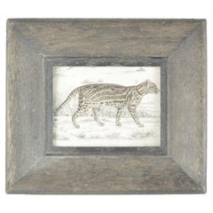 Original Antique Print of a Tiger, 1847
