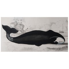 Original Antique Print of a Whale, 1847 'Unframed'