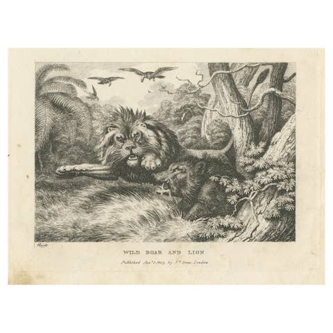 Original Antique Print of a Wild Boar and a Lion, 1811