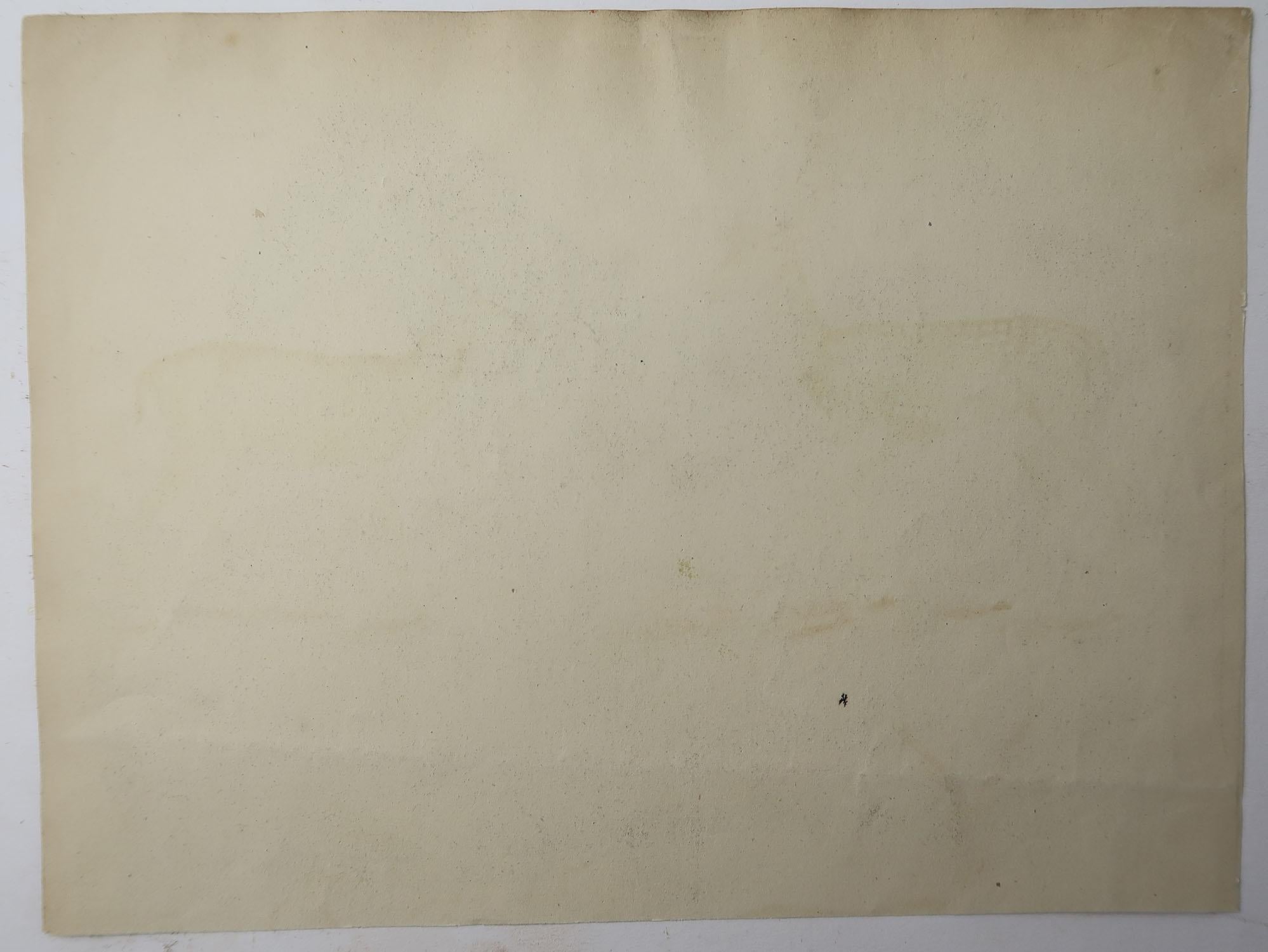 Other Original Antique Print of a Zebra, C.1835. 'Unframed'