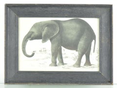 Original Antique Print of an Elephant, 1847