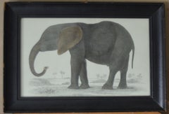 Original Antique Print of an Elephant, 1847