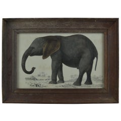 Original Antique Print of an Elephant, 1847