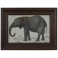 Original Antique Print of an Elephant, 1847