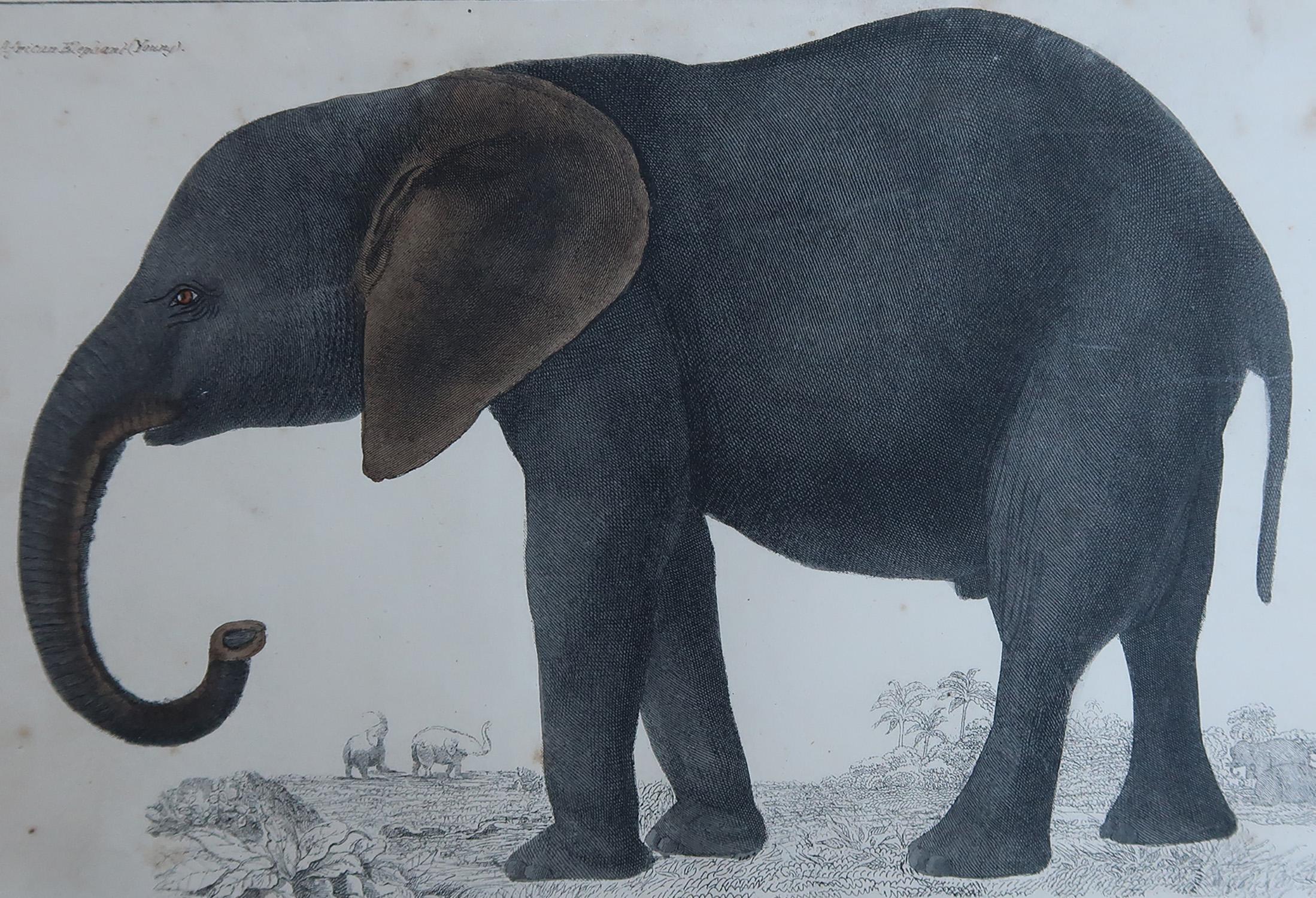 Belle image d'un éléphant.

Non encadré. Il vous donne la possibilité de réaliser un montage en utilisant les cadres de votre choix.

Lithographie d'après le Cpt. Brown avec couleur originale à la main.

Publié en 1847.

Expédition gratuite





.