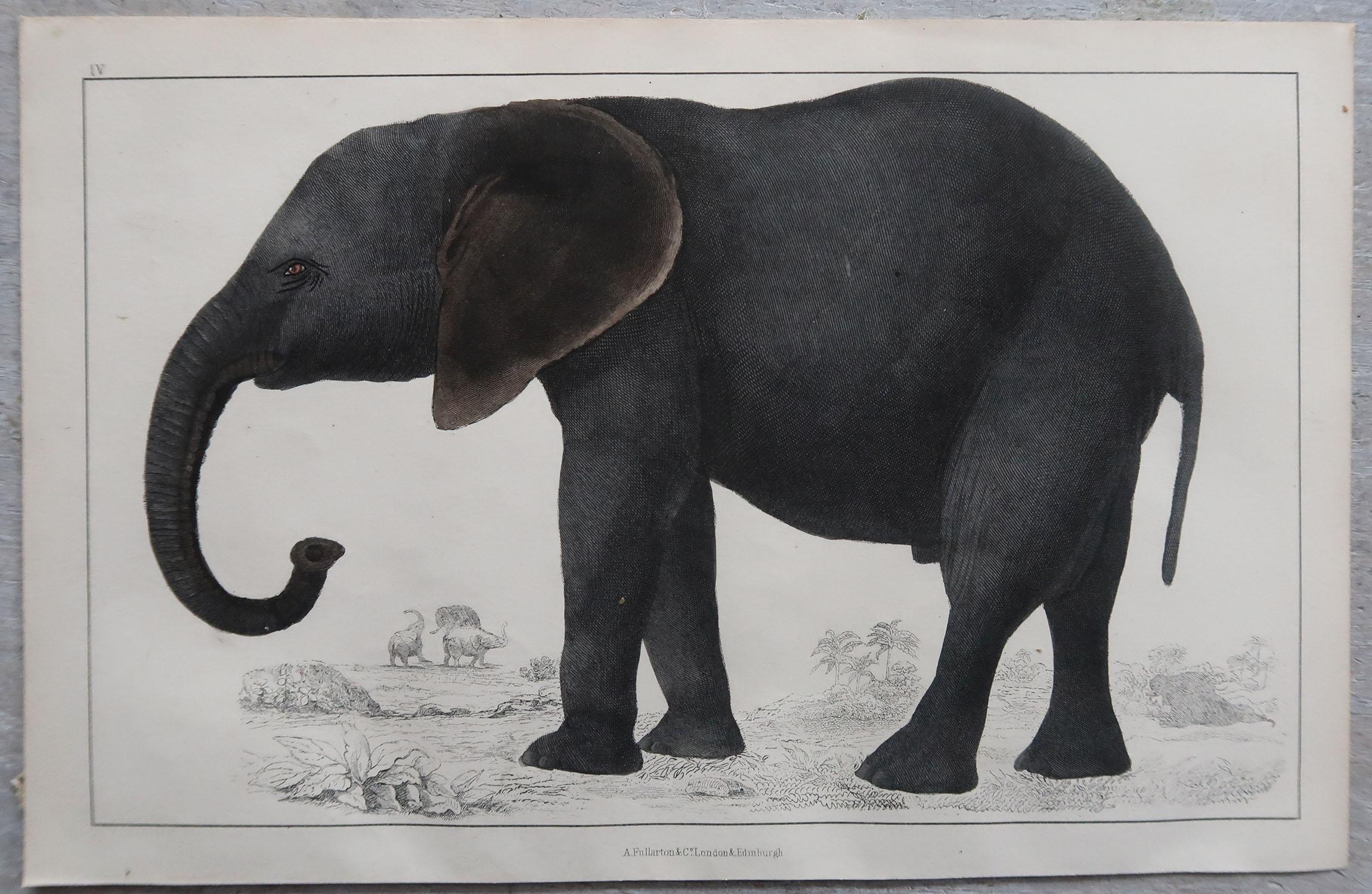 Folk Art Original Antique Print of an Elephant, 1847 'Unframed'