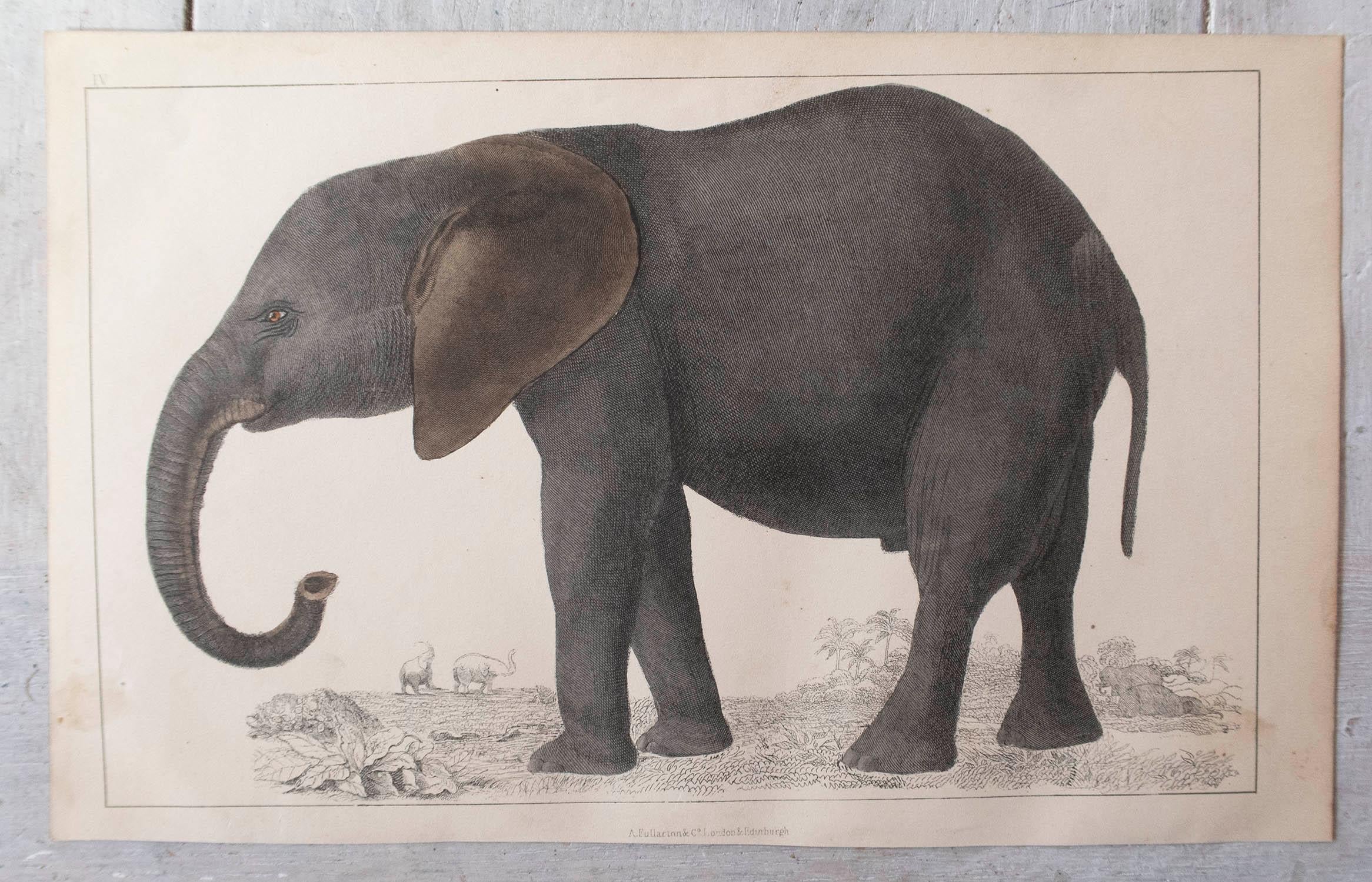 Folk Art Original Antique Print of an Elephant, 1847 'Unframed'