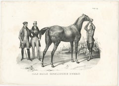 Original Antique Print of an English Horse
