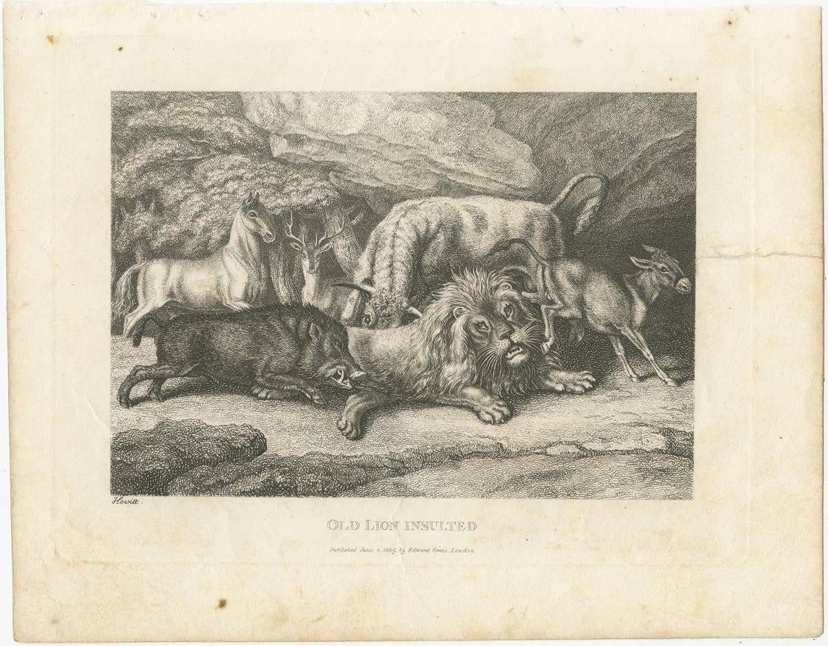 Original Antique Print of Old Lion Insulted