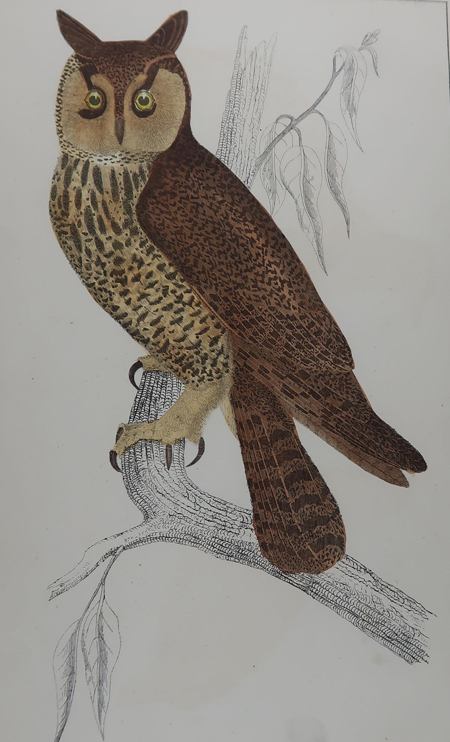 Great image of an owl

Unframed. It gives you the option of perhaps making a set up using your own choice of frames.

Lithograph after Cpt. brown with original hand color.

Published, 1847.

Free shipping.




 