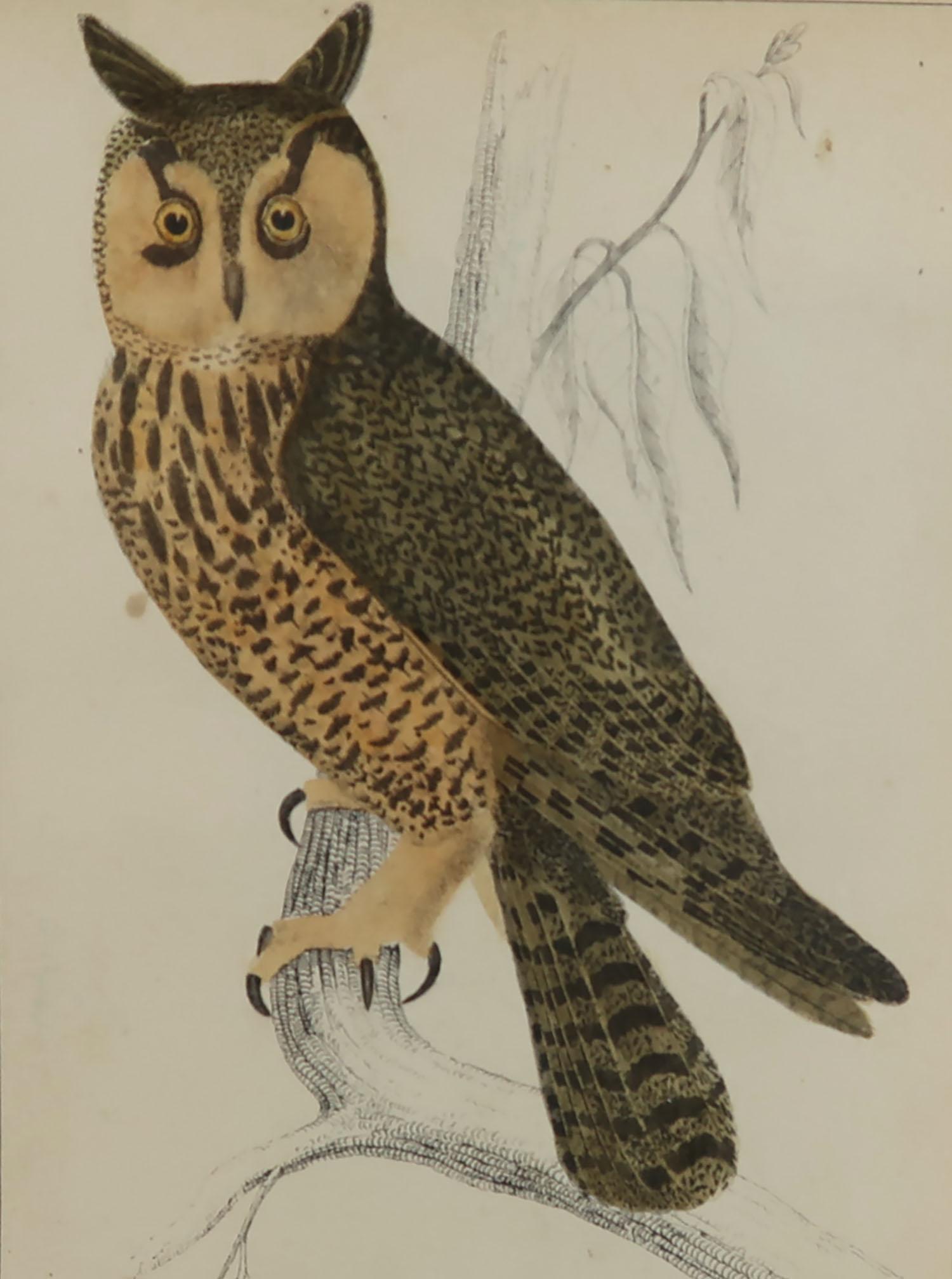 Great image of an owl

Unframed. It gives you the option of perhaps making a set up using your own choice of frames.

Lithograph after Cpt. brown with original hand color.

Published, 1847.

Free shipping.




  