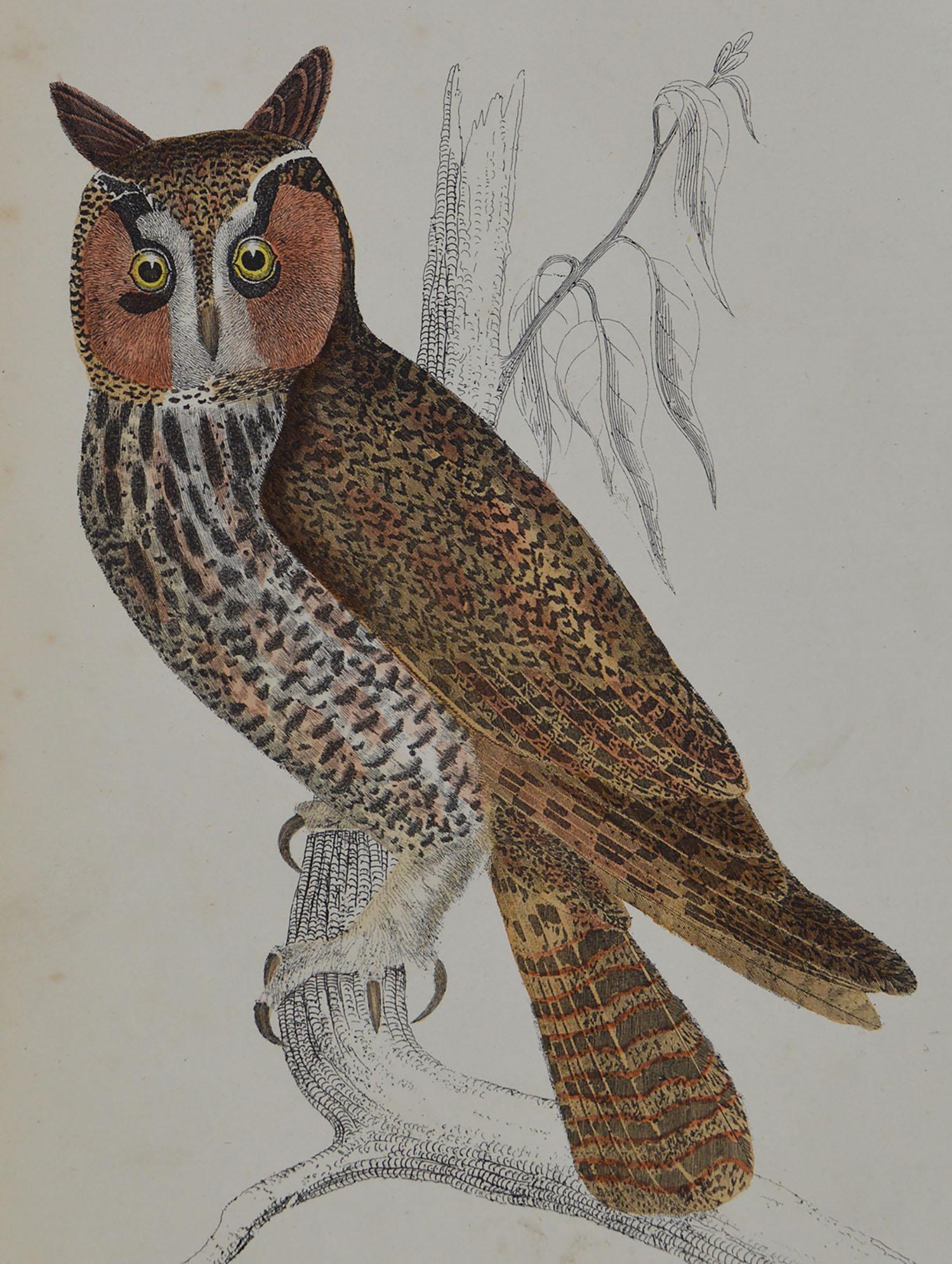 Folk Art Original Antique Print of an Owl, 1847 'Unframed'