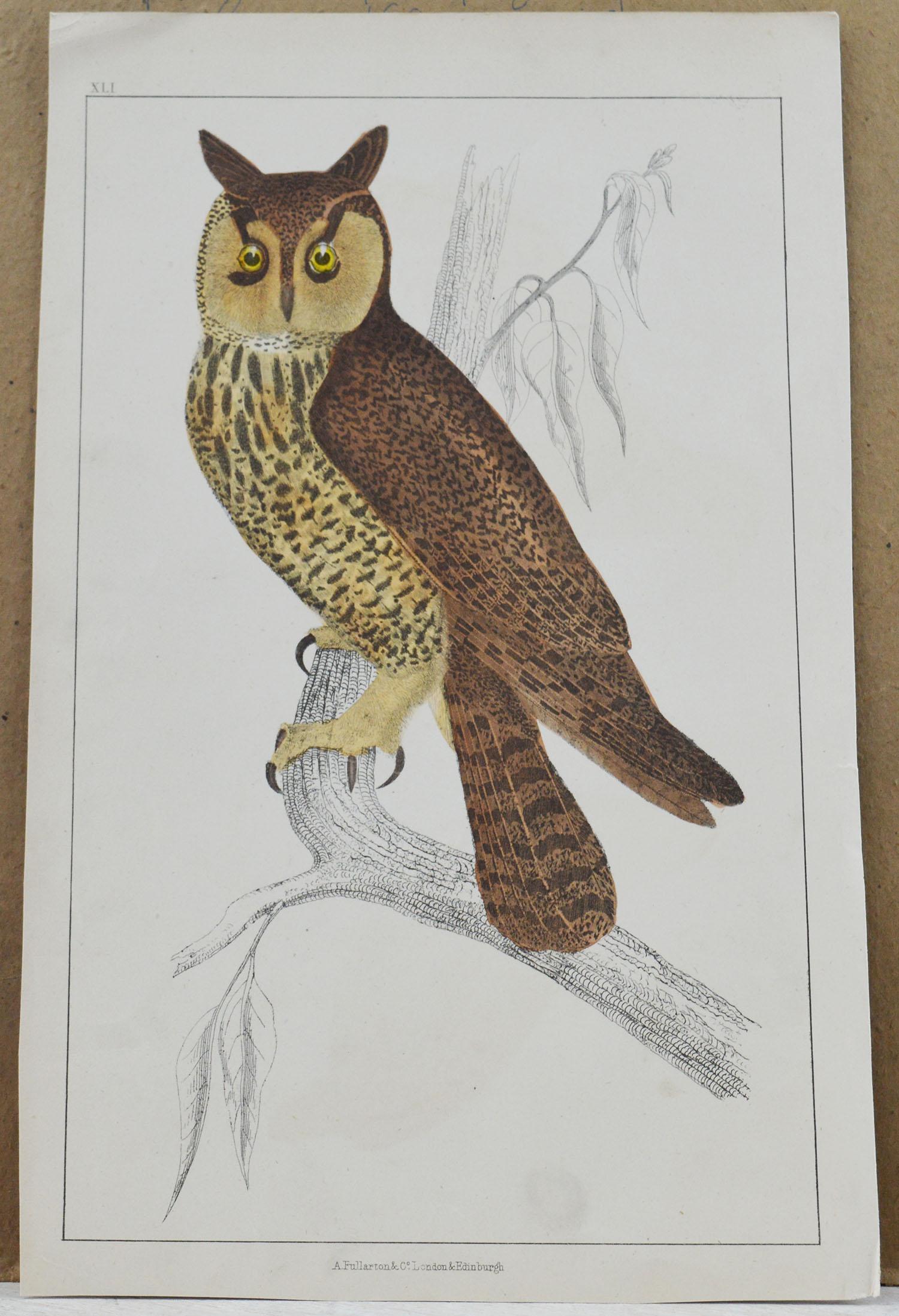 Folk Art Original Antique Print of an Owl, 1847 'Unframed'