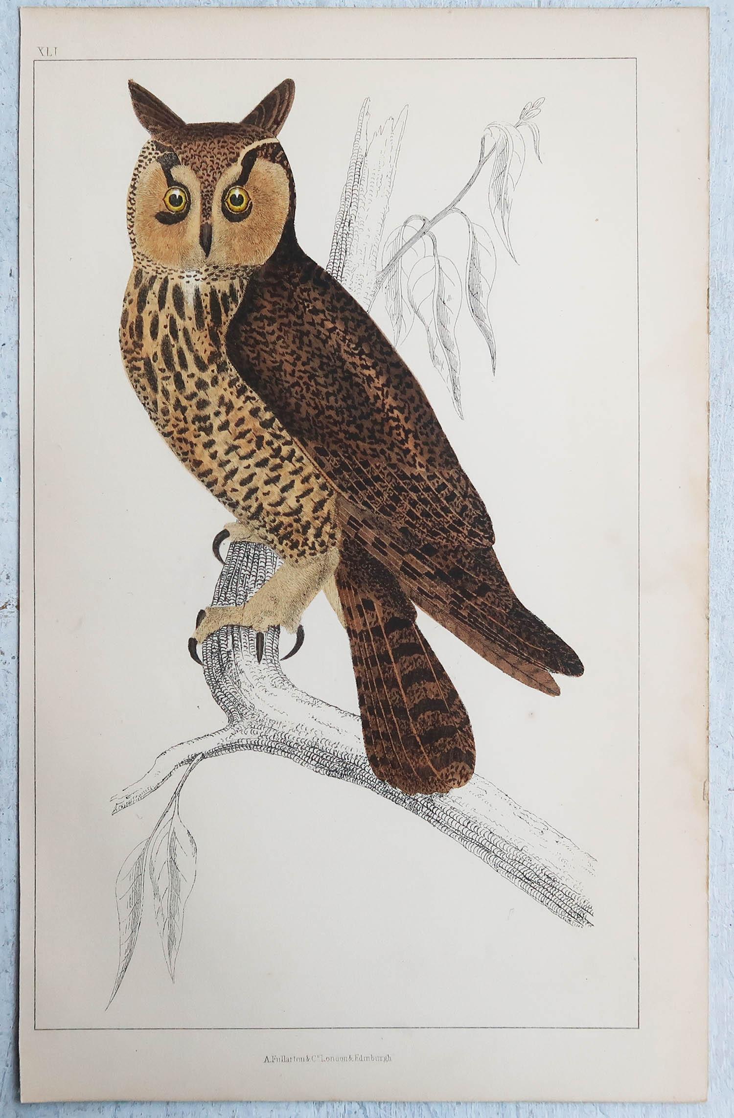 Folk Art Original Antique Print of an Owl, 1847 'Unframed'
