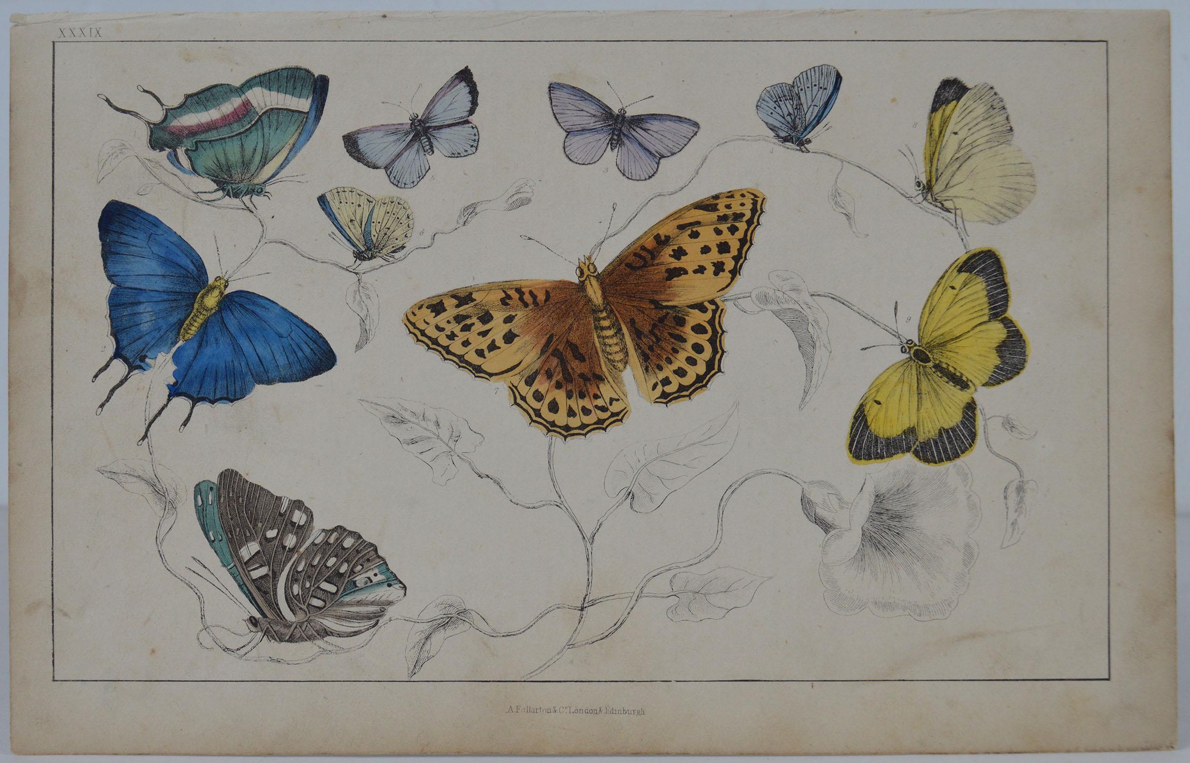 Great image of butterflies.

Unframed. It gives you the option of perhaps making a set up using your own choice of frames.

Lithograph after Cpt. Brown with original hand color.

Published 1847.

Free shipping.






 
