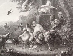 Original Antique Print of Cockerels After Melchior D'Hondecoeter. 1850