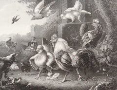 Original Antique Print of Cockerels After Melchior D'Hondecoeter. 1850