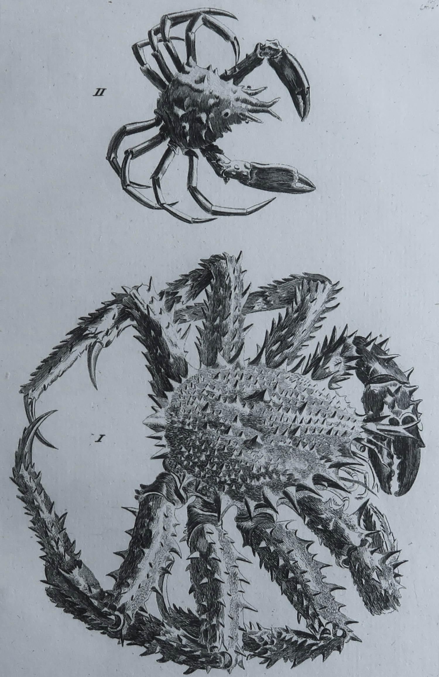 De belles images de crabes

Gravure sur cuivre d'après Moses Griffiths

Publié C.1790

Non encadré.

Livraison gratuite. 



