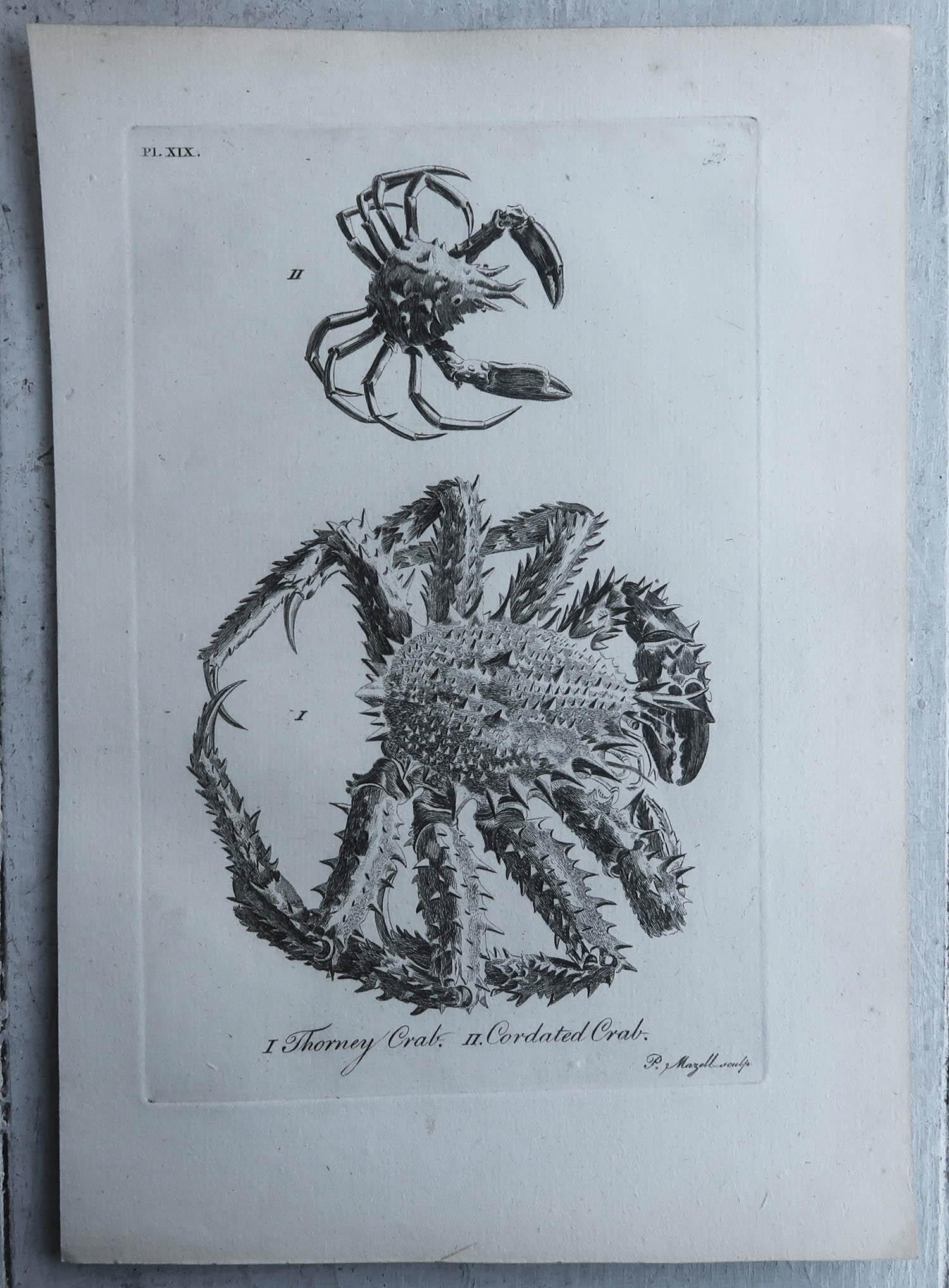Georgian  Original Antique Print of Crabs, C.1790 For Sale