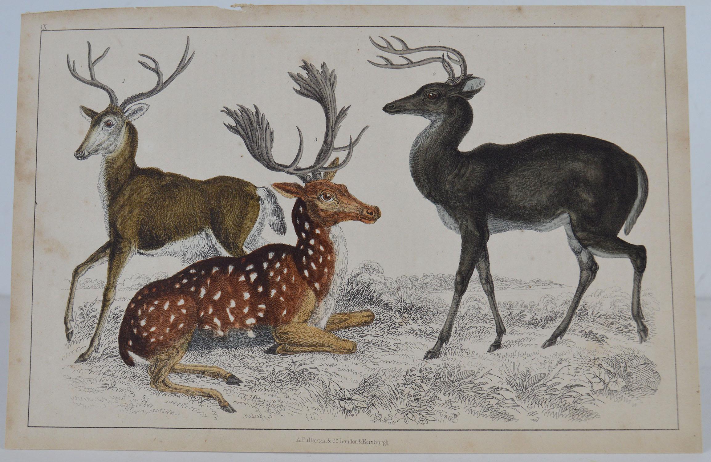 Great image of deer.

Unframed. It gives you the option of perhaps making a set up using your own choice of frames.

Lithograph after Cpt. brown with original hand color.

Published: 1847.

Free shipping.






 