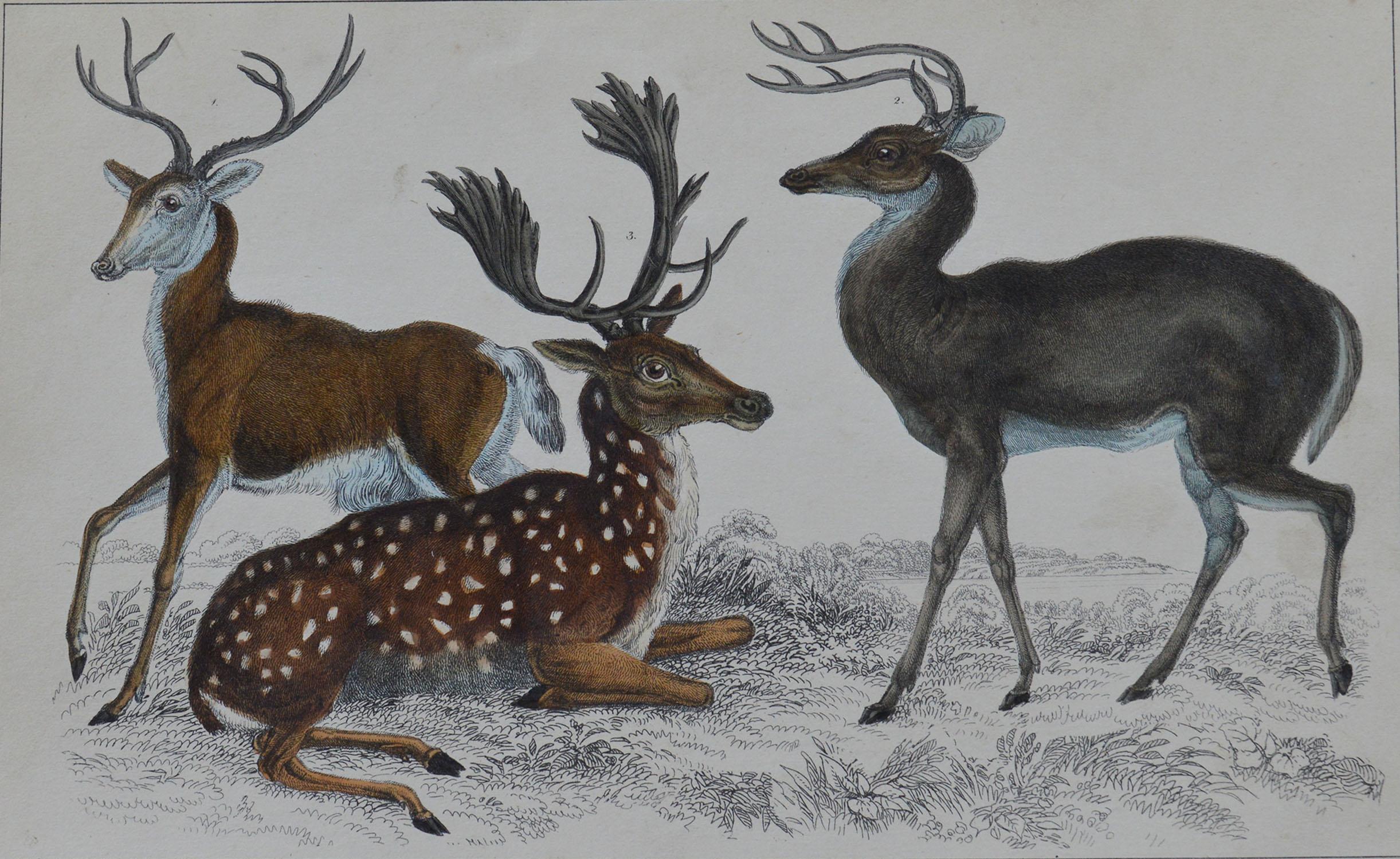 Great image of deer.

Unframed. It gives you the option of perhaps making a set up using your own choice of frames.

Lithograph after Cpt. brown with original hand color.

Published: 1847.

Free shipping.






  