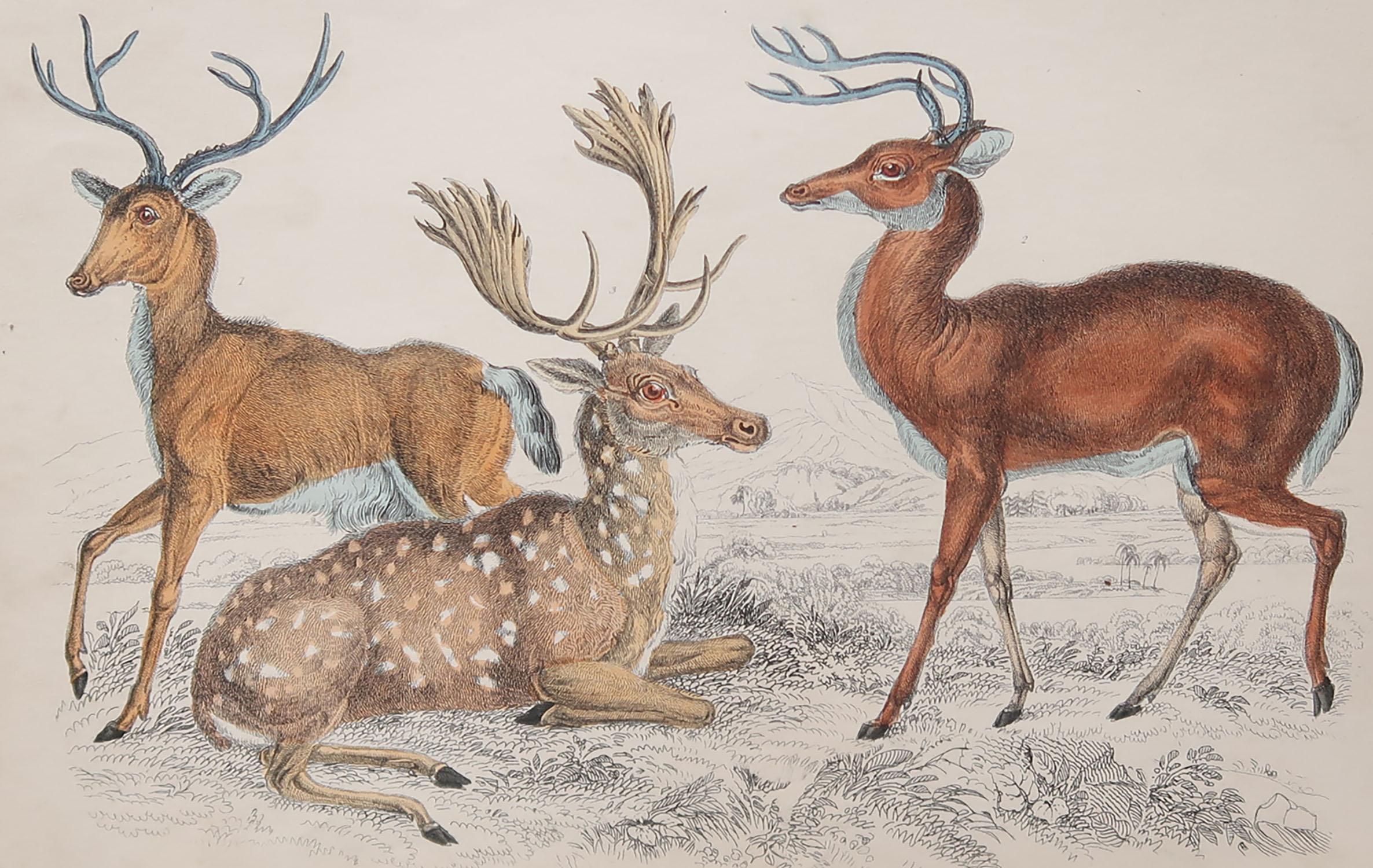 Great image of deer.

Unframed. It gives you the option of perhaps making a set up using your own choice of frames.

Lithograph after Cpt. brown with original hand color.

Published: 1847.

Free shipping.






    