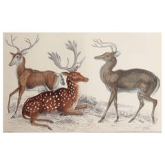 Decorative Art