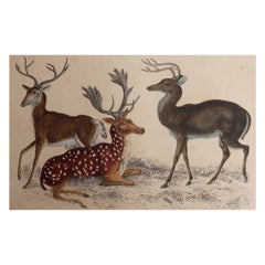 Decorative Art