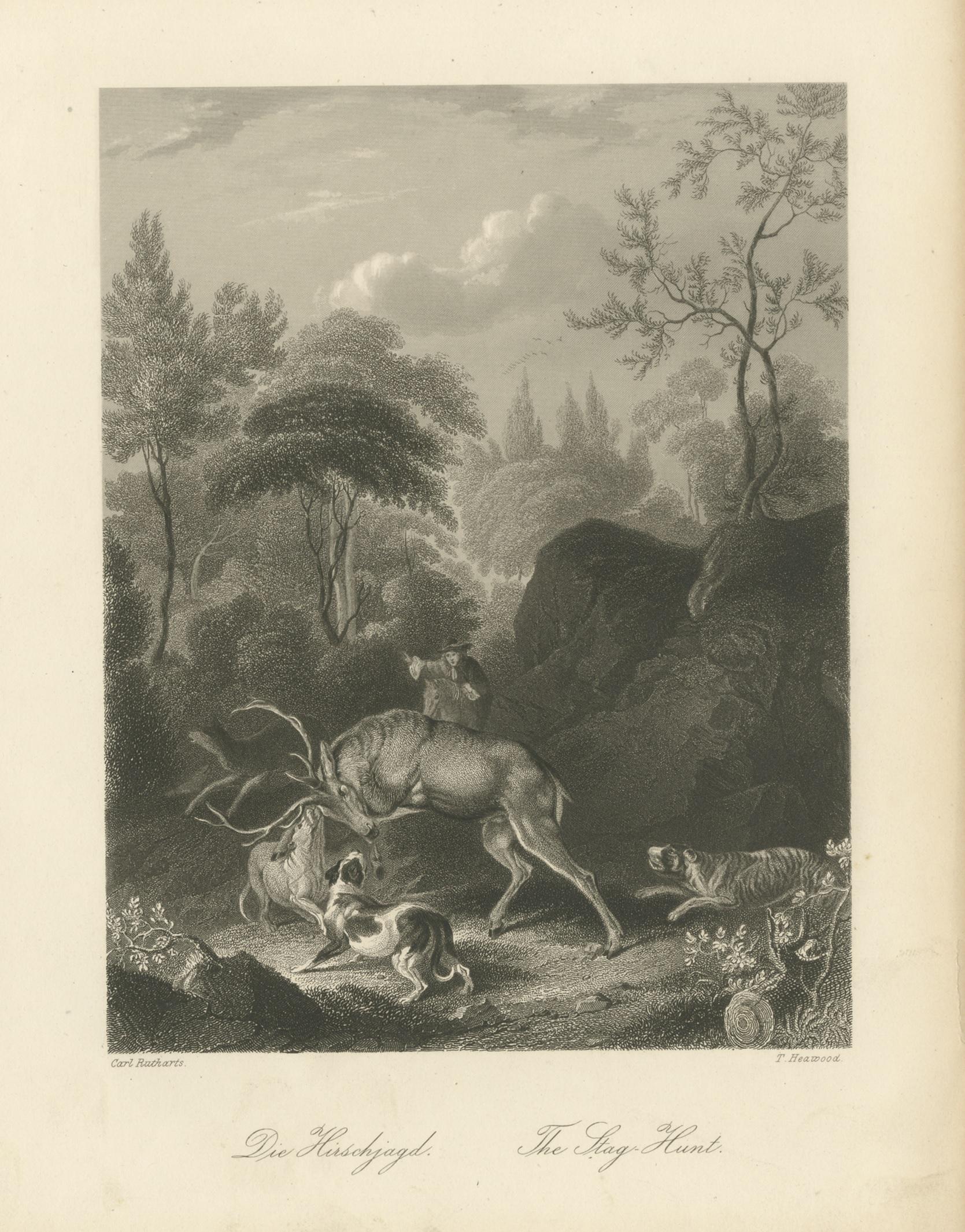 Original Antique Print of Deer Hunting In Fair Condition For Sale In Langweer, NL