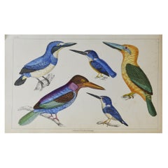 Folk Art Prints