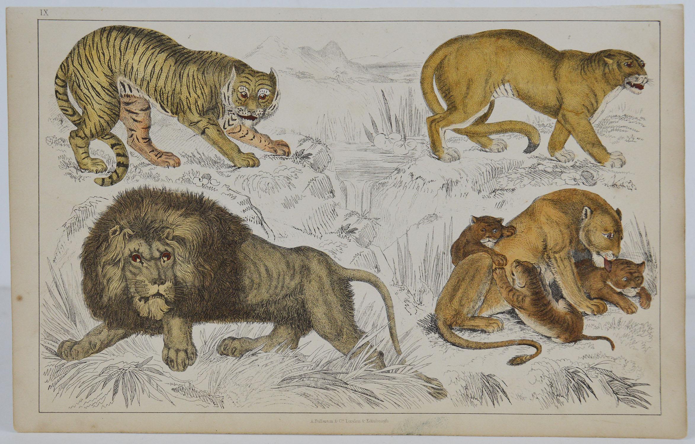 Great image of lions.

Unframed. It gives you the option of perhaps making a set up using your own choice of frames.

Lithograph after Cpt. Brown with original hand color.

Published 1847.

Free shipping.






  