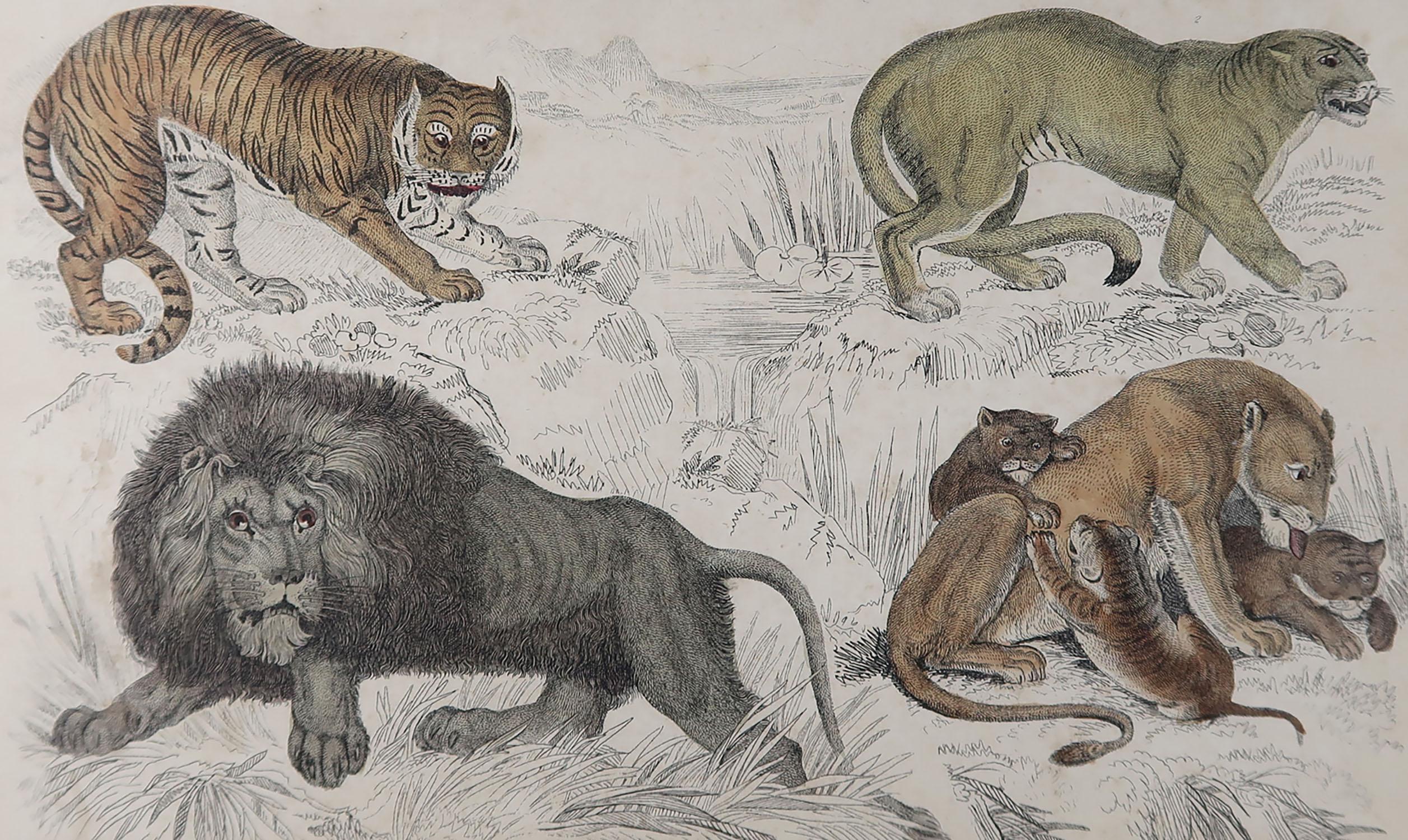 Great image of lions.

Unframed. It gives you the option of perhaps making a set up using your own choice of frames.

Lithograph after Cpt. Brown with original hand color.

Published, 1847.

Free shipping.






 