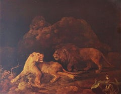 Original Antique Print of Lions After George Stubbs, Circa 1900