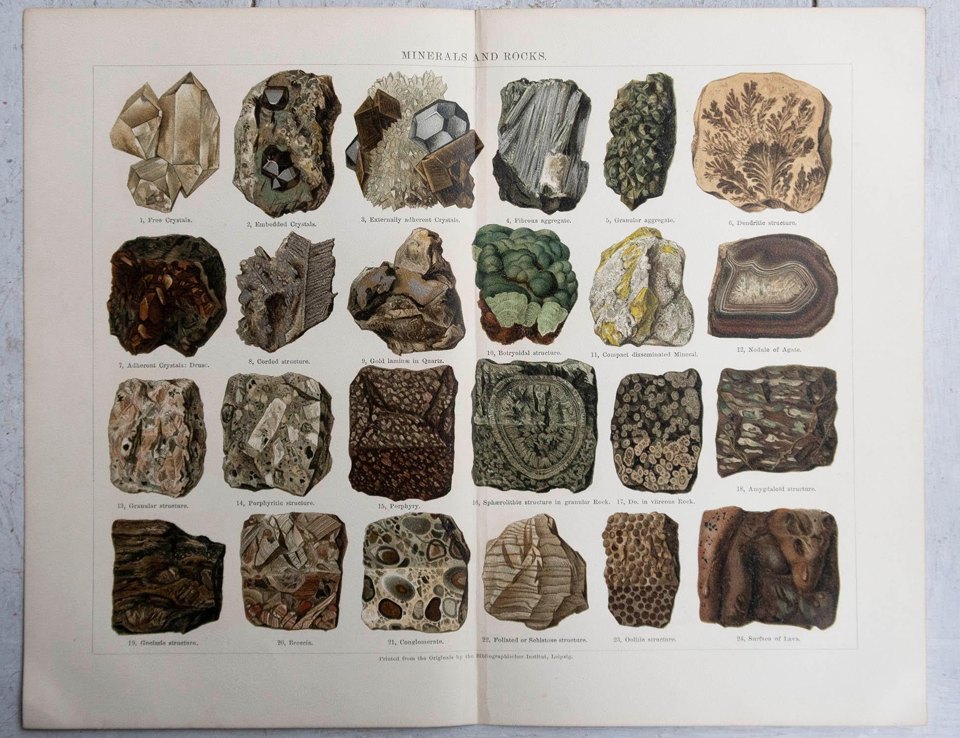 English Original Antique Print of Minerals and Rocks . C.1900