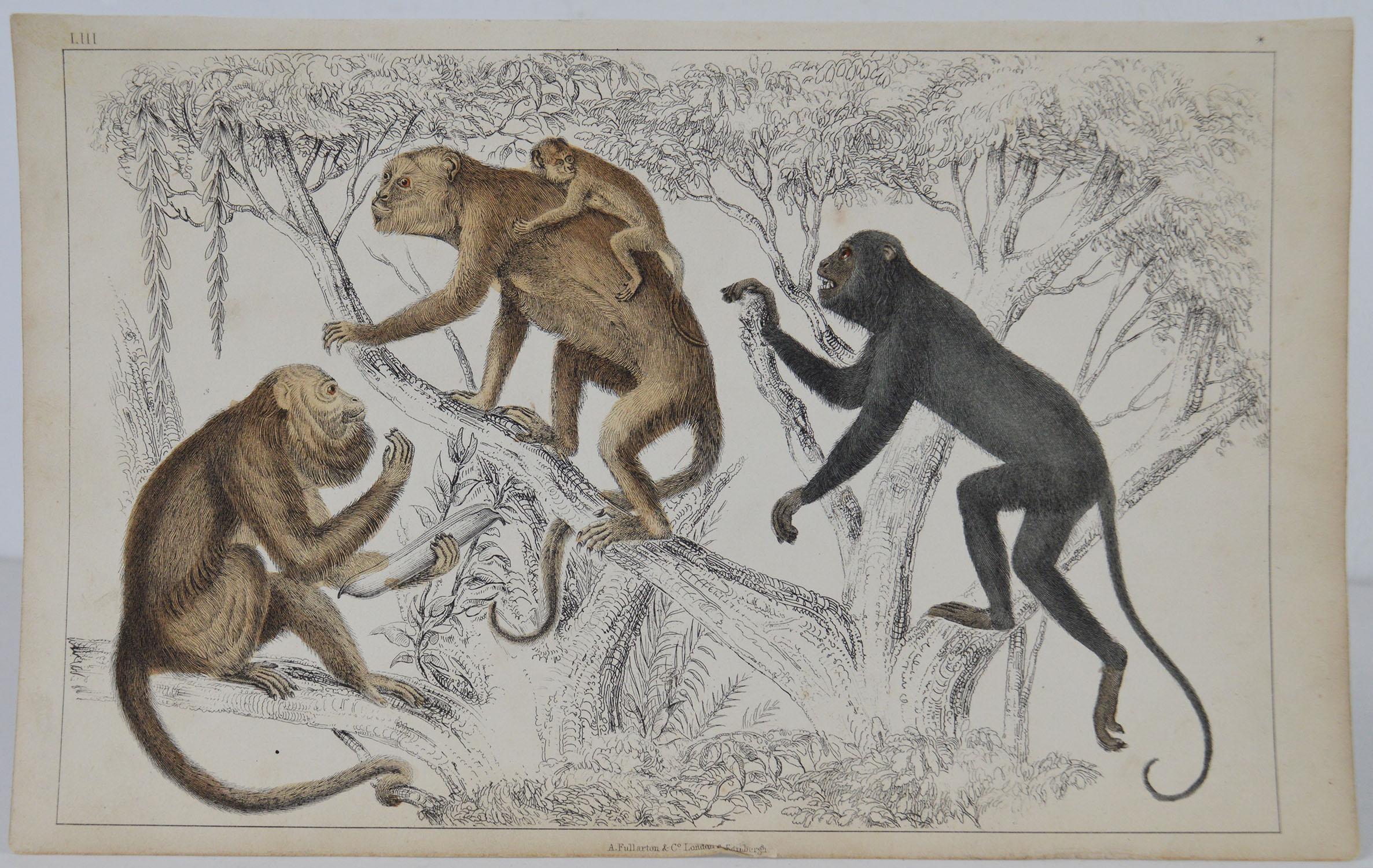 Great image of monkeys.

Unframed. It gives you the option of perhaps making a set up using your own choice of frames.

Lithograph after Cpt. Brown with original hand color.

Published 1847.

Free shipping.






  