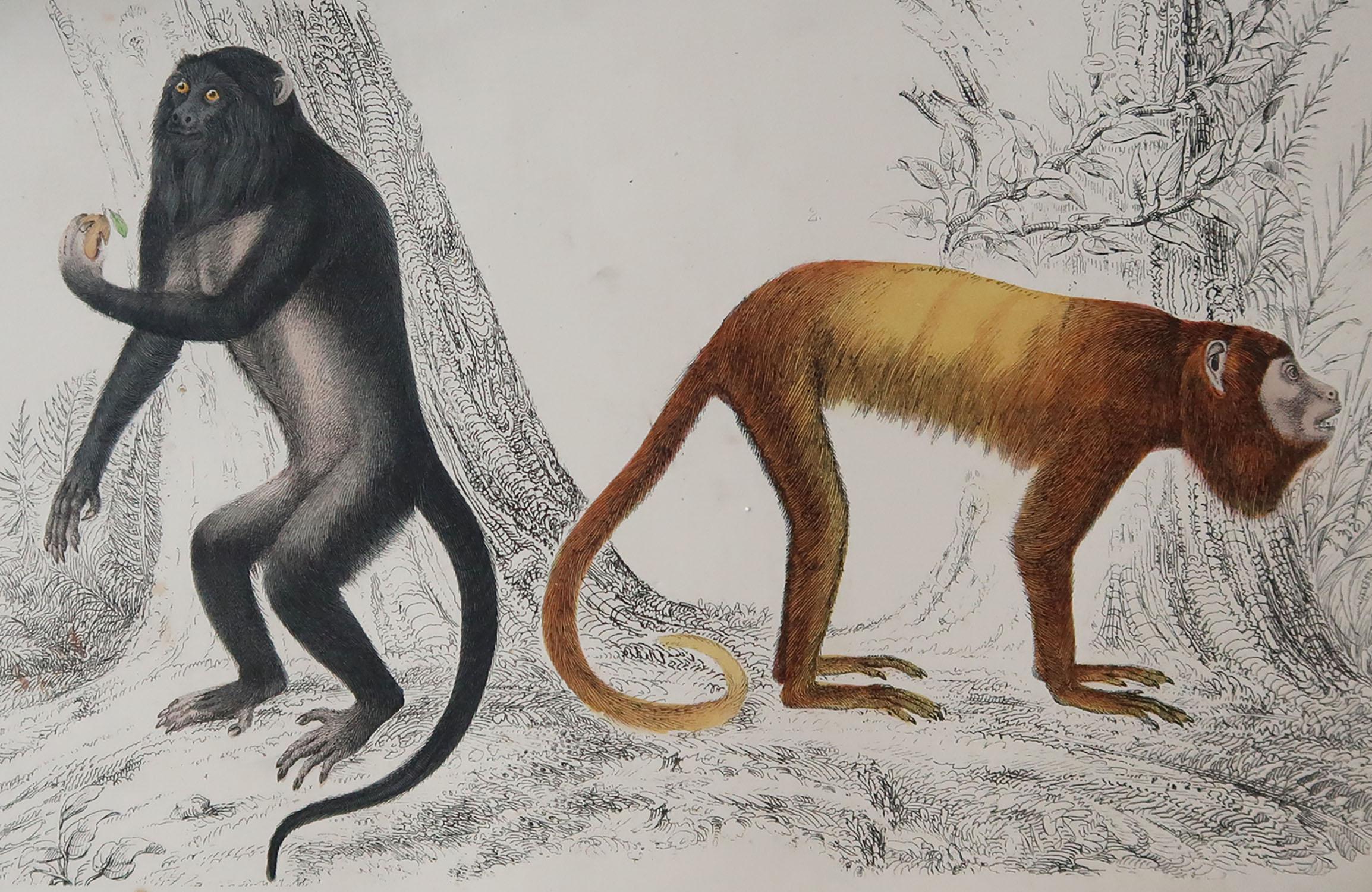 Great image of monkeys.

Unframed. It gives you the option of perhaps making a set up using your own choice of frames.

Lithograph after Cpt. Brown with original hand color.

Published, 1847.

Repair to a minor edge tear on top edge

Free