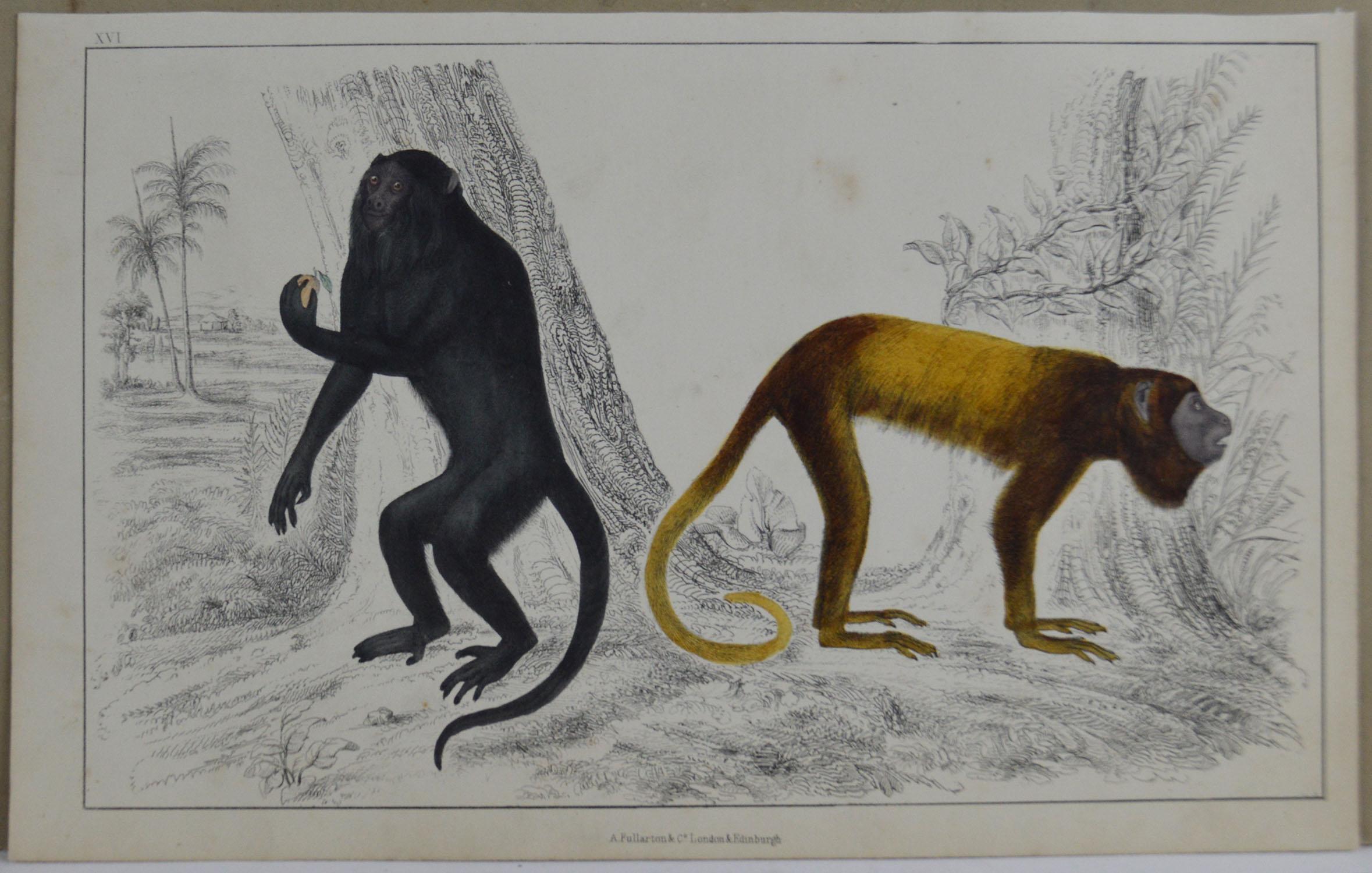 Folk Art Original Antique Print of Monkeys, 1847 'Unframed'
