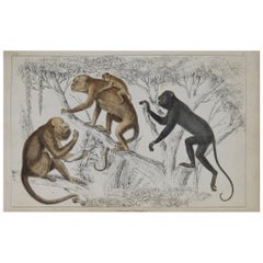 19th Century Decorative Art