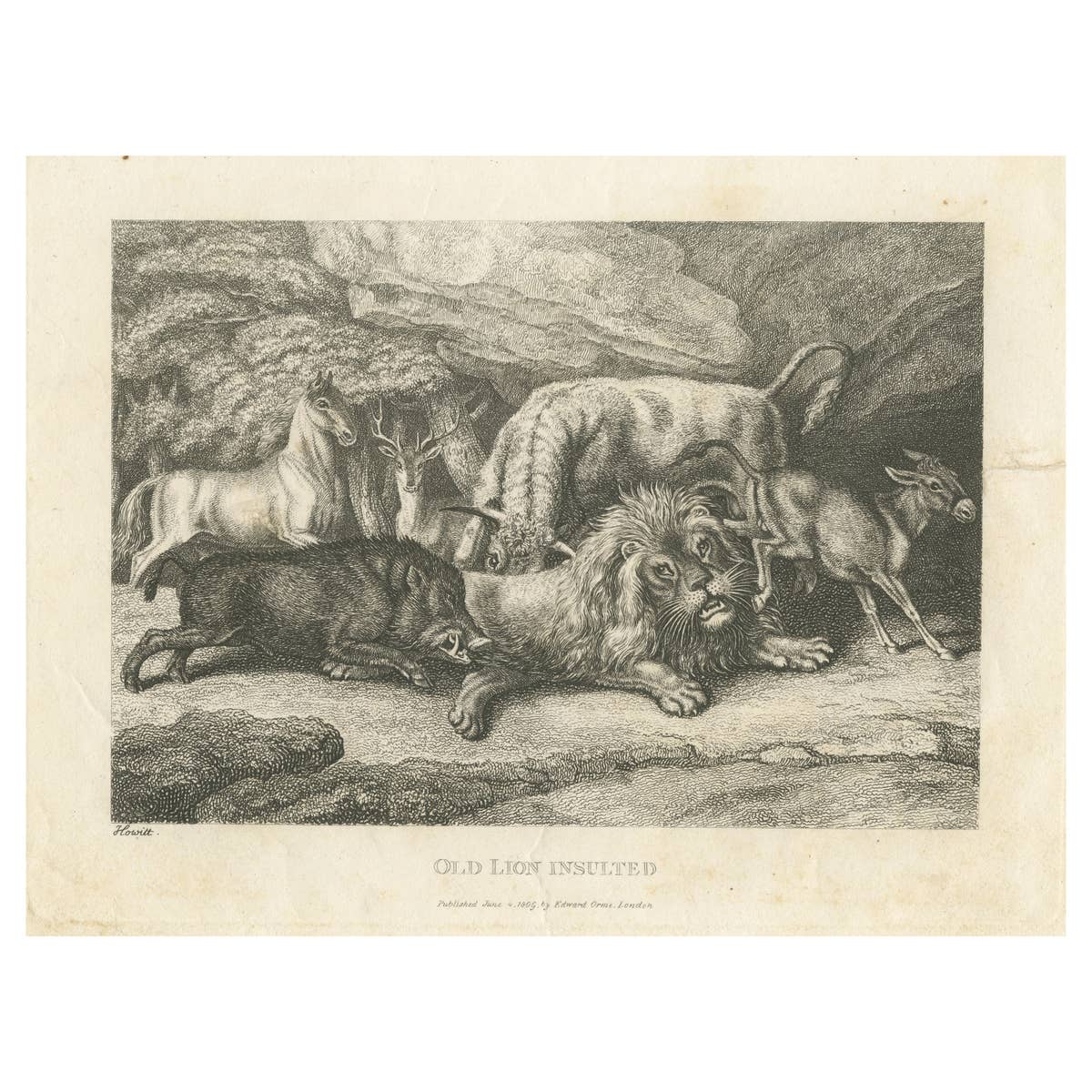 Original Antique Print of Old Lion Insulted